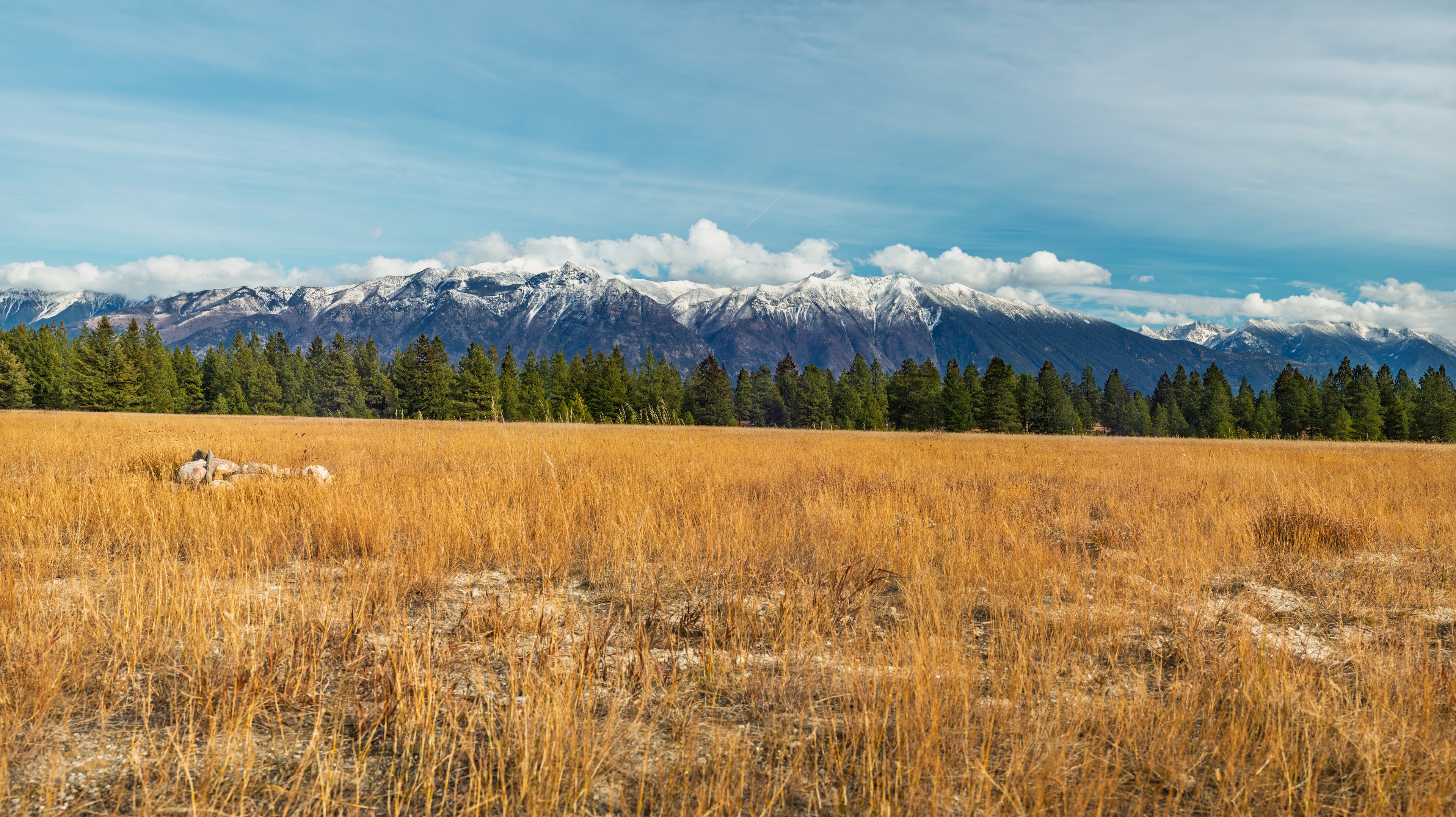 Scenic view of a field with mountains in the background. A photograph taken and edited by Joseph Brost